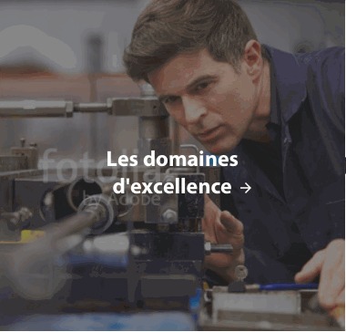 domaines d'excellence