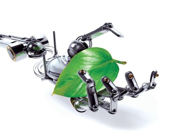 © mac hericher-fotolia