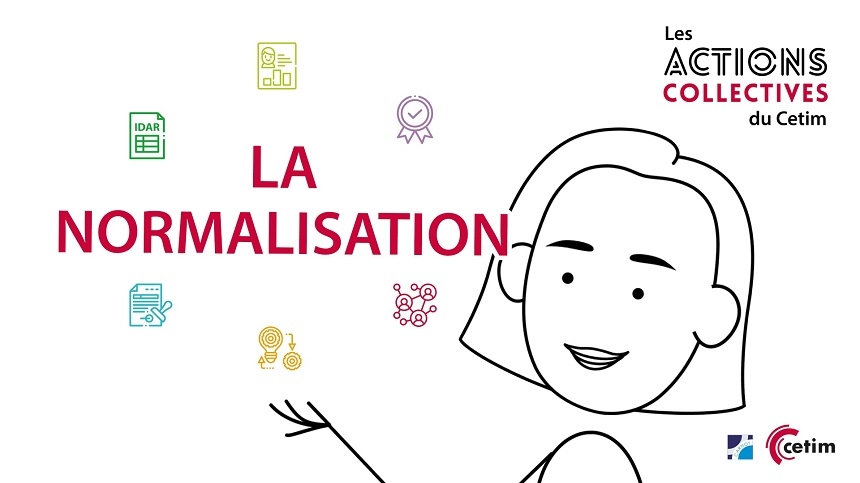 Les actions collectives du Cetim : la normalisation