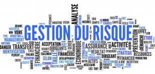 Gestion des risques