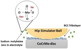 Précouche de molybdate pour augmenter la durée de prothèses de hanches