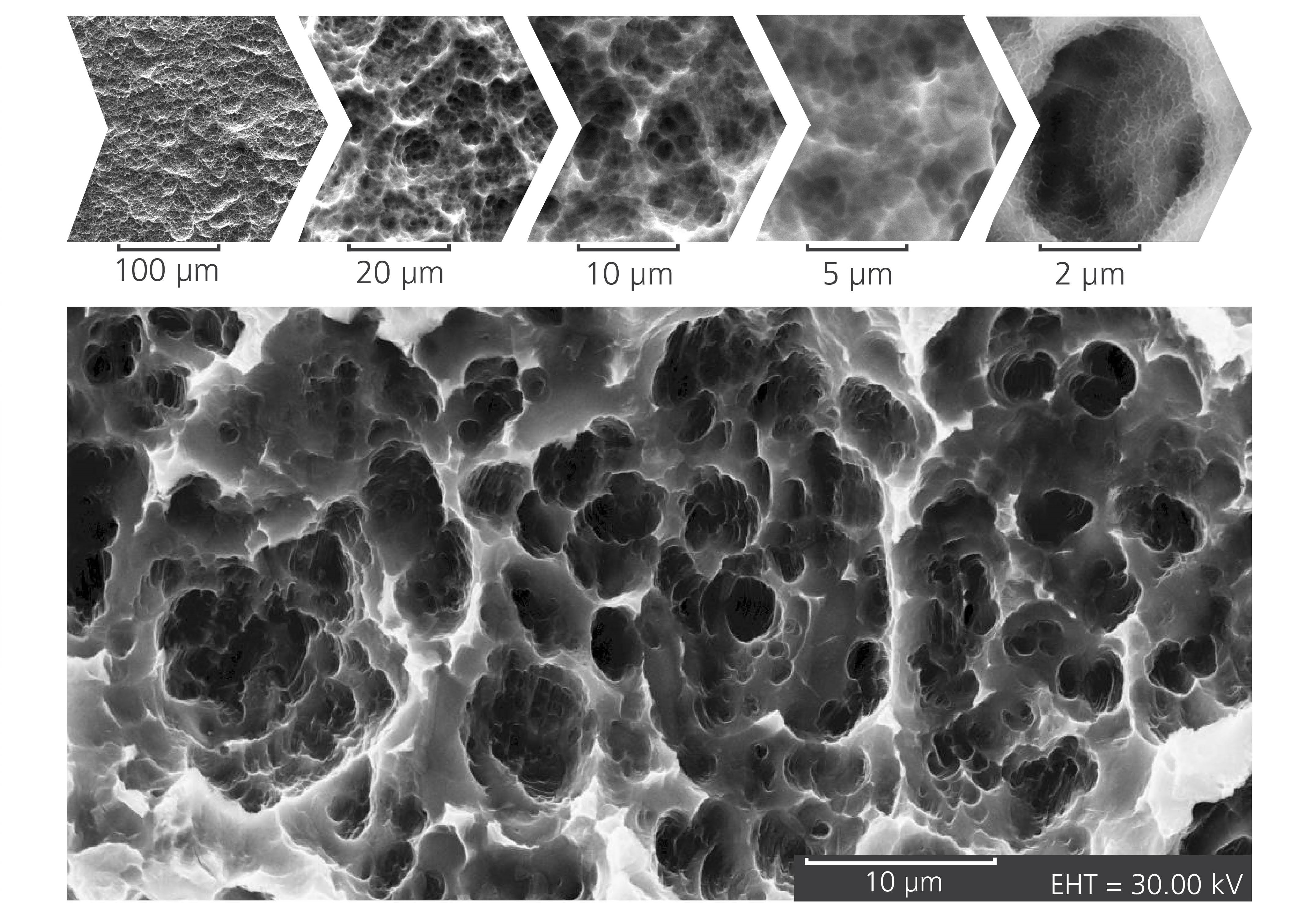 Starturf de Selenium Medical: surface texturée médicale