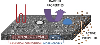 Elastomère antimicrobien (Source: IATA/CSIC Espagne)